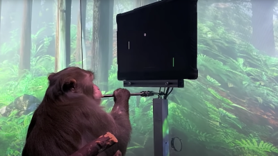 Neuralink’s Monkey Can Play Pong With Its Mind & Just Imagine What Humans could Do