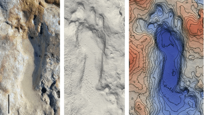 Dozens of Fossilised Neanderthal Footprints Found on a Beach in Spain