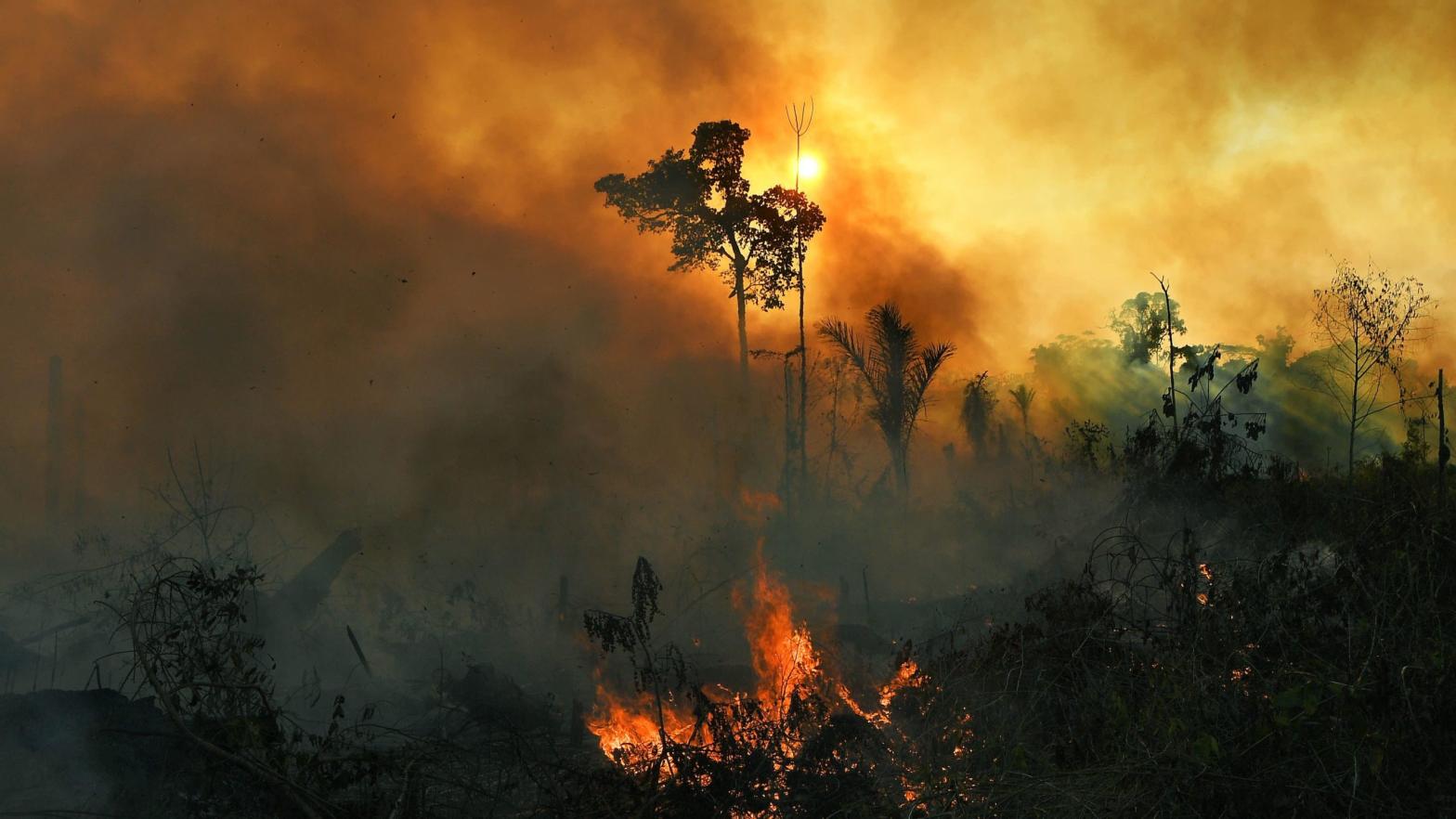Smoke rises from an illegally lit fire in Amazon rainforest reserve, south of Novo Progresso in Para state, Brazil, on August 15, 2020.  (Photo: Carl De Souza, Getty Images)