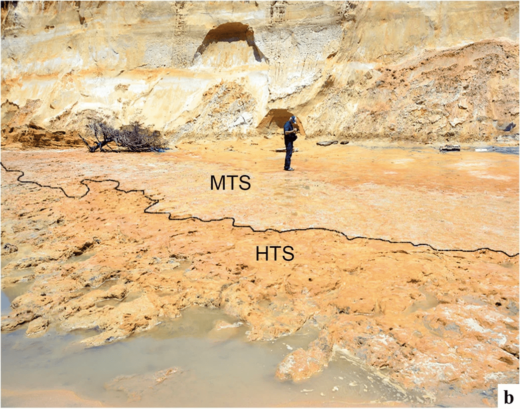 Matalascañas Beach, where the fossils were found (in the section labelled HTS.) (Image: Mayoral et al. 2021, Other)