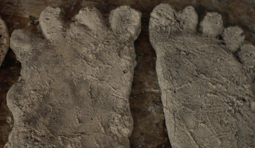 Casts of Bigfoot's big feet. (Image: Hulu)