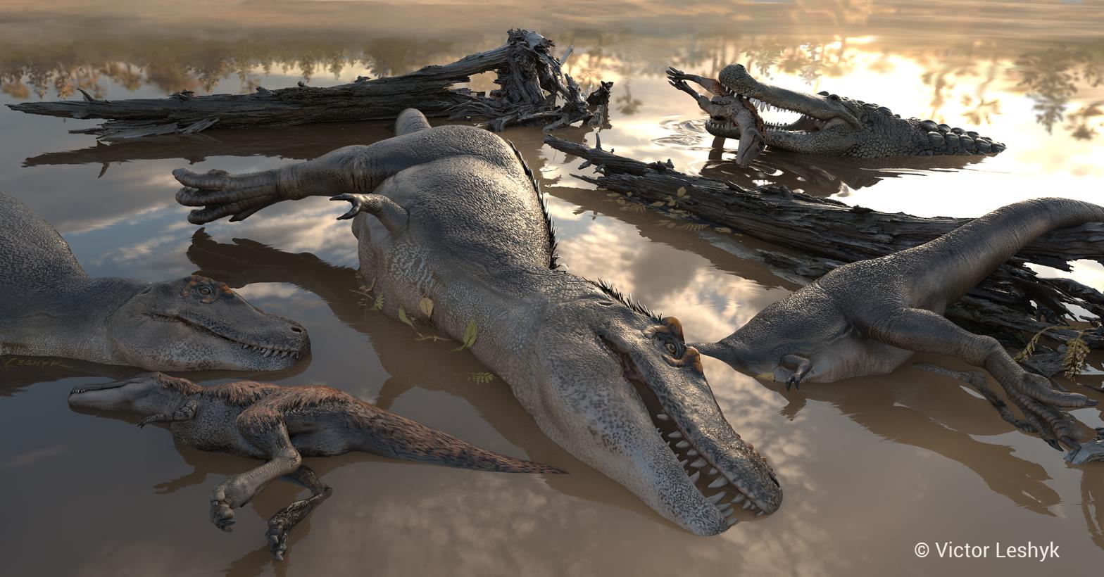 Artist's impression of the tyrannosaurs shortly after being killed in a flood and washed into a nearby lake. A Deinosuchus alligator is shown n in the background.  (Image: Victor Leshyk)