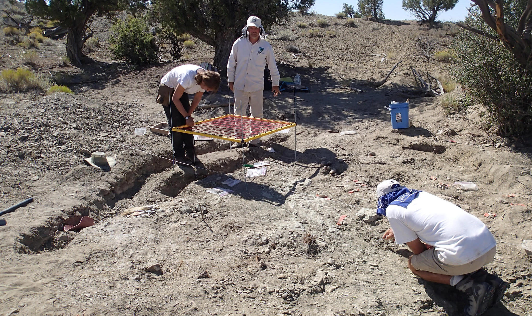 Team members mapping bones at the site.  (Image: Bureau of Land Management)