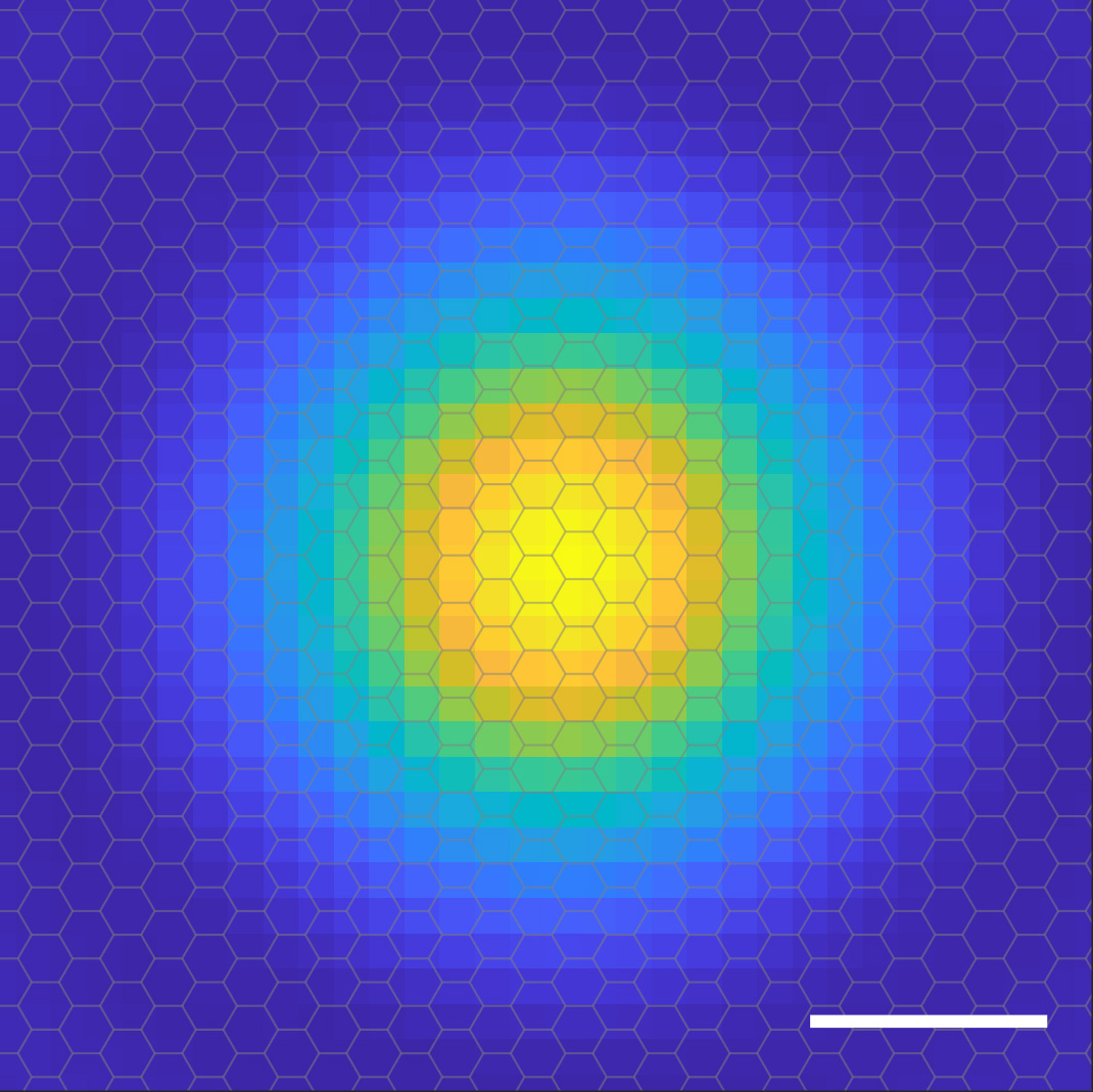 A representation of the exciton's probability cloud (Image: OIST)