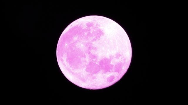 How And When To See Tonight’s Pink Super Moon In Australia