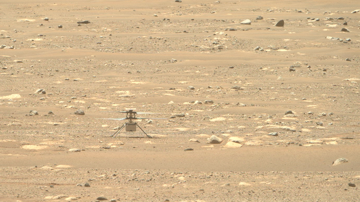 The helicopter on Tuesday, probably basking in the glory of its achievement. (Image: NASA/JPL-Caltech/ASU)