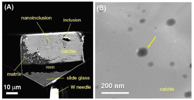 X-ray nanotomagraphic images of the carbon dioxide inclusions within calcite crystals. (Image: Dr. Akira Tsuchiyama from Ritsumeikan University)