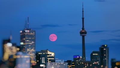 Why Is A Pink Super Moon So Special If It’s Not Even Pink?