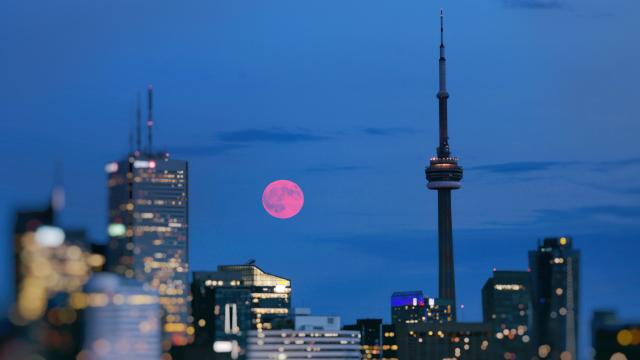 Why Is A Pink Super Moon So Special If It’s Not Even Pink?