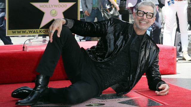 Jeff Goldblum Is Doing a Dungeons & Dragons Podcast, Which Is as Excellent as It Is Unfathomable
