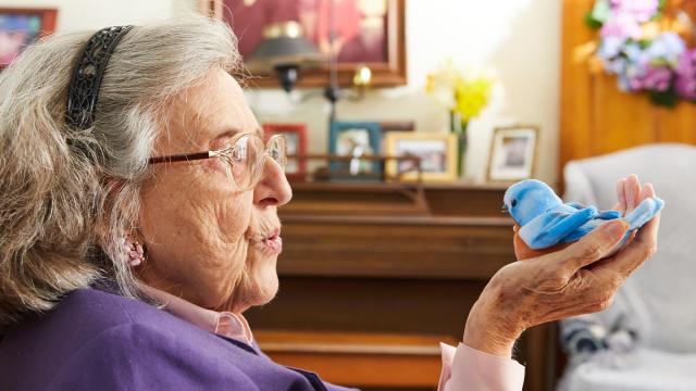 This 93-Year-Old Inventor’s Robotic Companion Bird Is the Only Gadget That Should Ever Be Allowed to Tweet