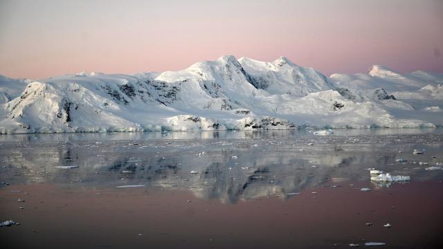 Bacteria Survives in Antarctica by Living on Air and Turning Hydrogen Into Water