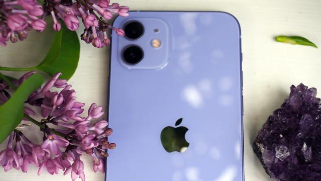 Here’s the Purple iPhone 12 Next to Other Purple Things