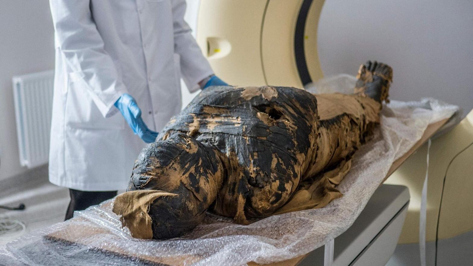 The mummy, as seen during an examination in 2015.  (Image: Courtesy Warsaw Mummy Project)