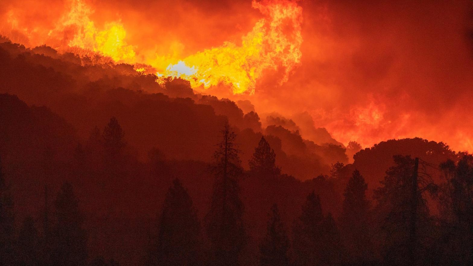 Flames incinerate a forest as the Creek Fire rapidly expands on Sept. 8, 2020 near Shaver Lake, California. (Photo: David McNew, Getty Images)