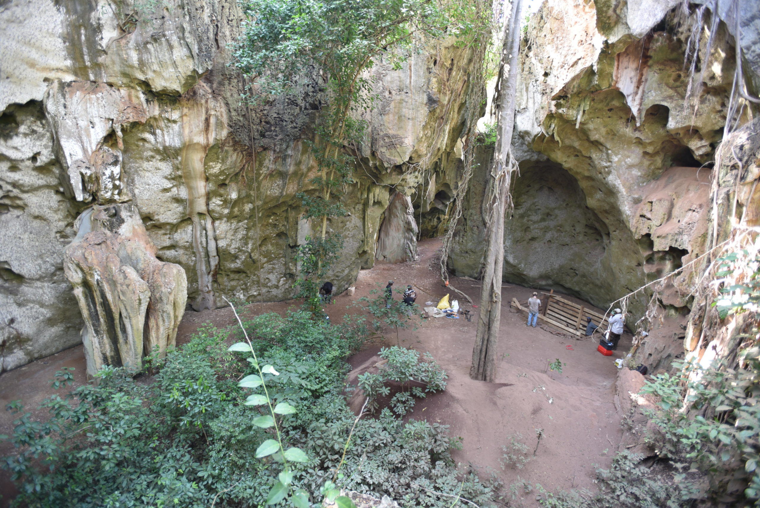 View of the site at Panga ya Saidi cave. (Image: Mohammad Javad Shoaee)