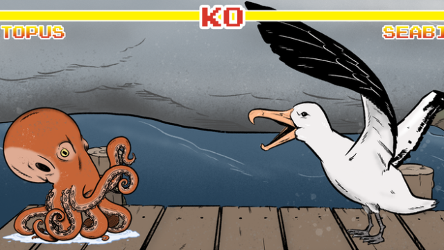 Who Would Win In A Fight Between An Octopus And A Seabird?