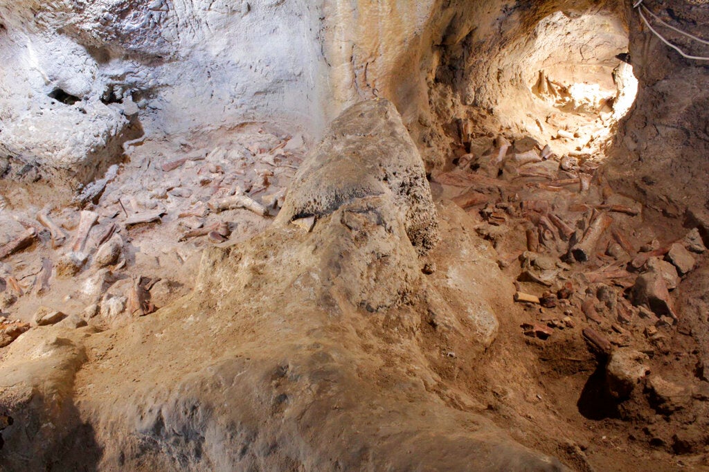 The view inside the cave, with what appears to be an assemblage of bones left by hyenas.  (Image: Ministero dei Beni Culturali)