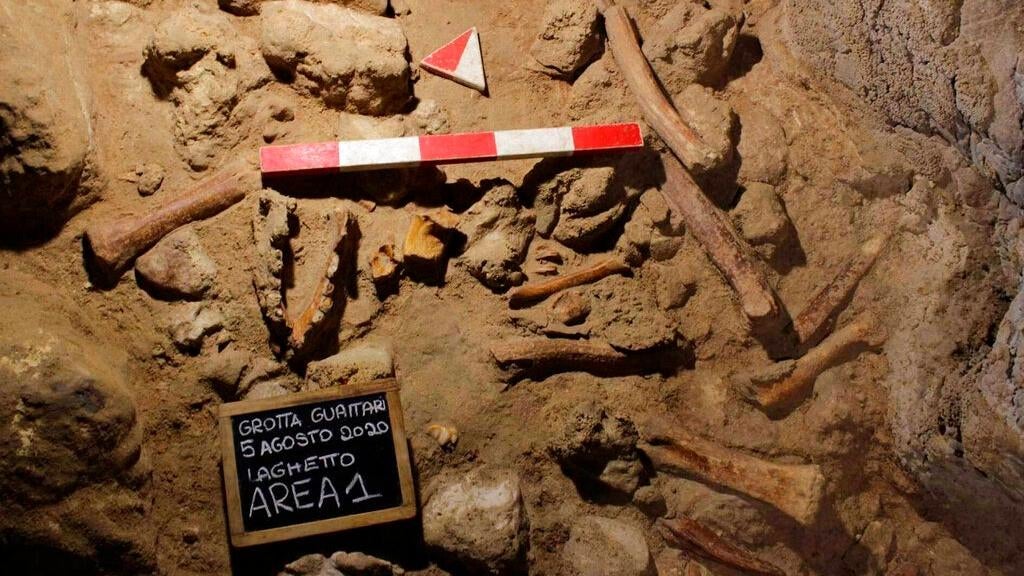 Bones found in Guattari Cave. (Image: Ministero dei Beni Culturali)
