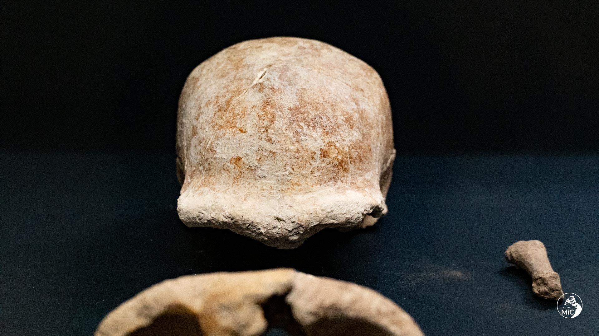 A skull fragment and other fossils found in the cave.  (Image: Ministero dei Beni Culturali)