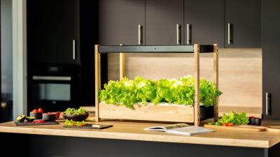 This Indoor Garden Will Feed You Greens Year-Round