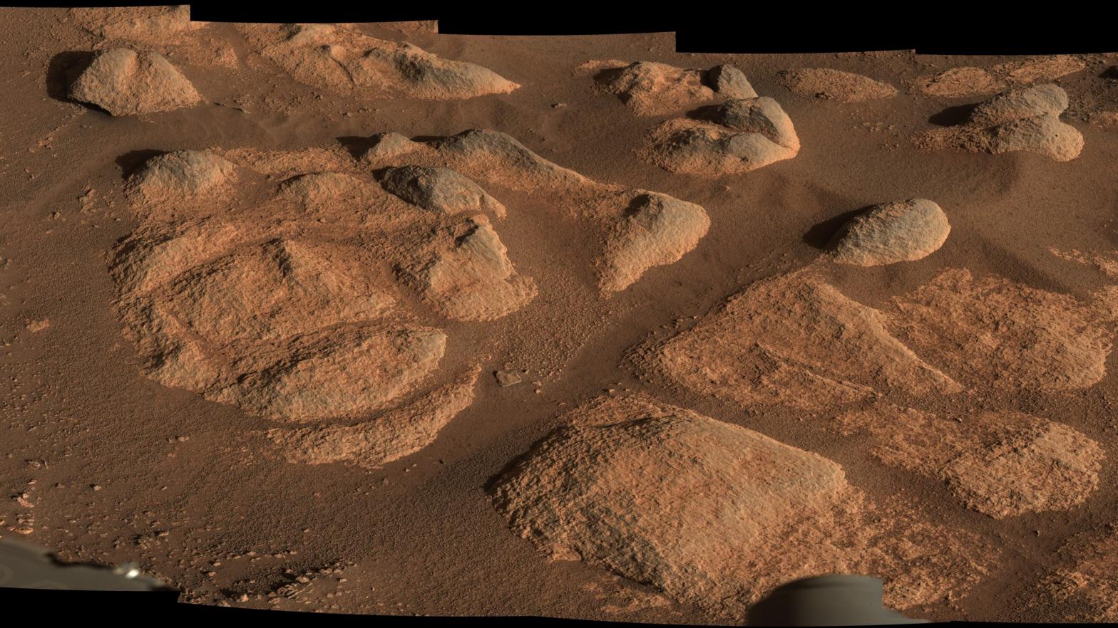 Rocks imaged last month by Perseverance's Mastcam-Z. (Image: NASA/JPL-Caltech/ASU/MSSS)