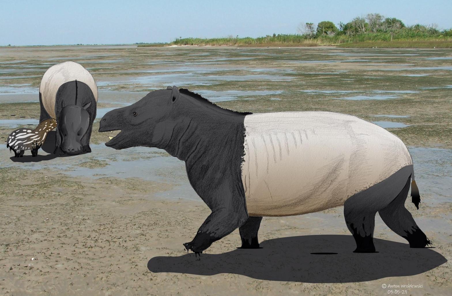 Hippos and tapirs the size of bears once roamed Wyoming, and left their mark. (Illustration: Anton Wroblewski)