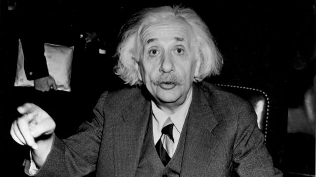 Albert Einstein Ponders Birds and Bees in Previously Unpublished Letter