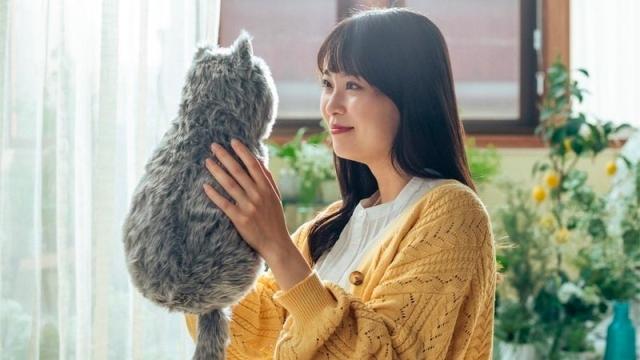 You’re Supposed to Be Comforted by This Faceless Robotic Vibrating Cat, Not Horrified