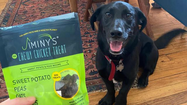 I Fed My Dog Bugs (And You Should, Too)