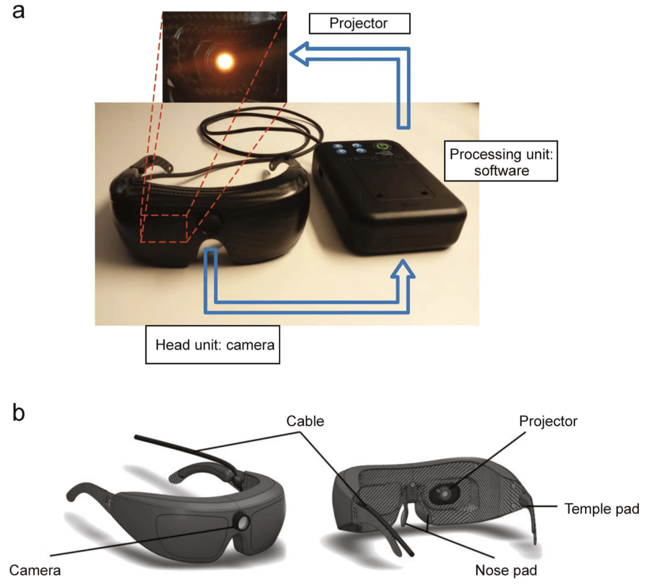 The specialised goggles take in information from the outside world and translate it into pulses of amber light meant to help the gene-edited retinas perceive information the way the retina does in people without these genetic disorders (Graphic: Sahel, et al.; Nature Medicine)