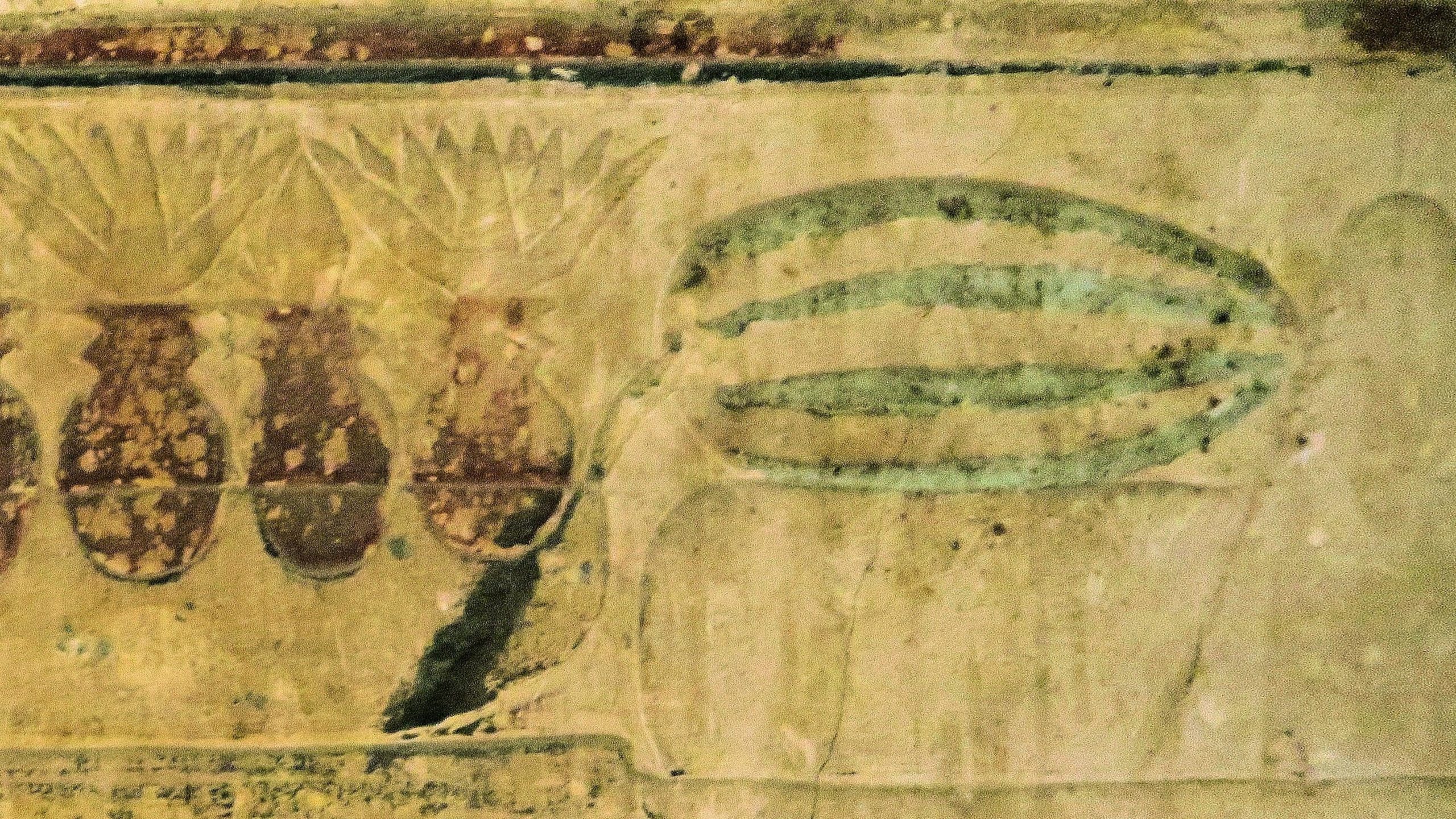 Iconography in an Egyptian tomb depicted a melon of unknown species. (Image: Lisa Manniche)