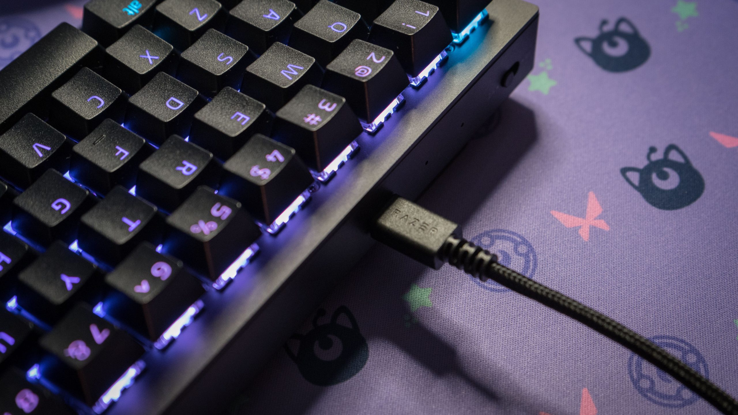 The Razer BlackWidow V3 Mini will require charging at the tail-end of the work day.  (Photo: Florence Ion/Gizmodo)