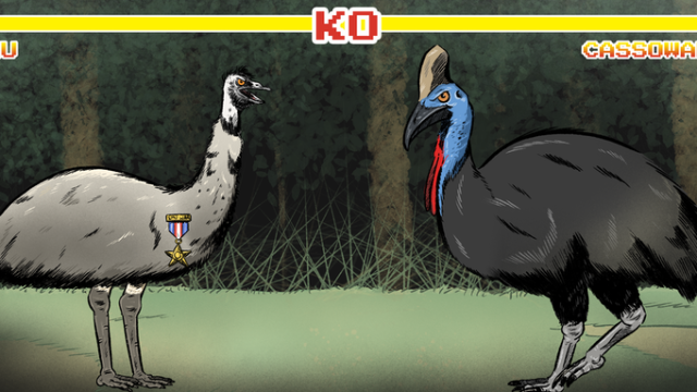 Emu VS Cassowary: Who Would Win In A Fight?