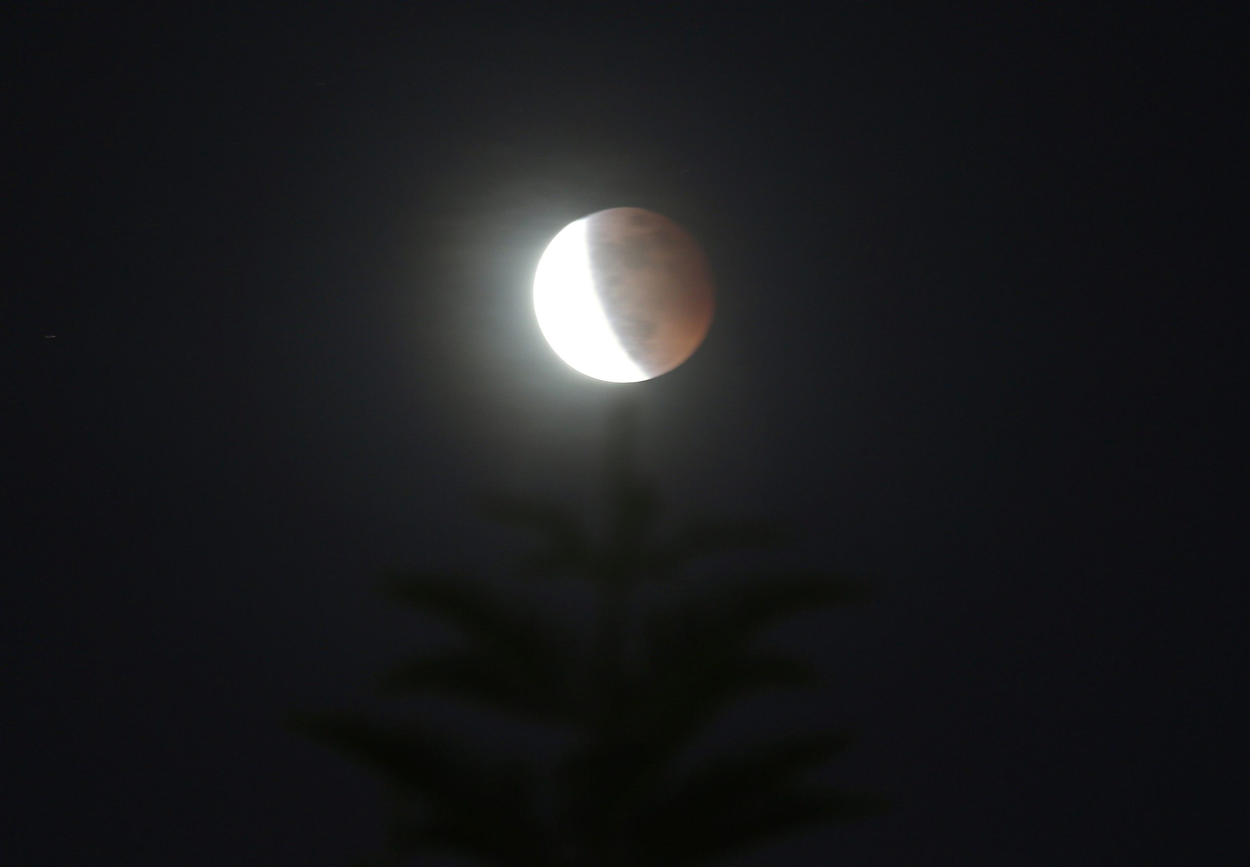 A full moon rises over a tree as a total lunar eclipse was taking place  on a cloudy day in Taipei, Taiwan, Wednesday, May 25, 2021. (Photo: Chiang Ying-ying, AP)