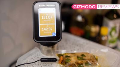 I Love This Sous Vide On Steroids, Even Though It’s Overkill