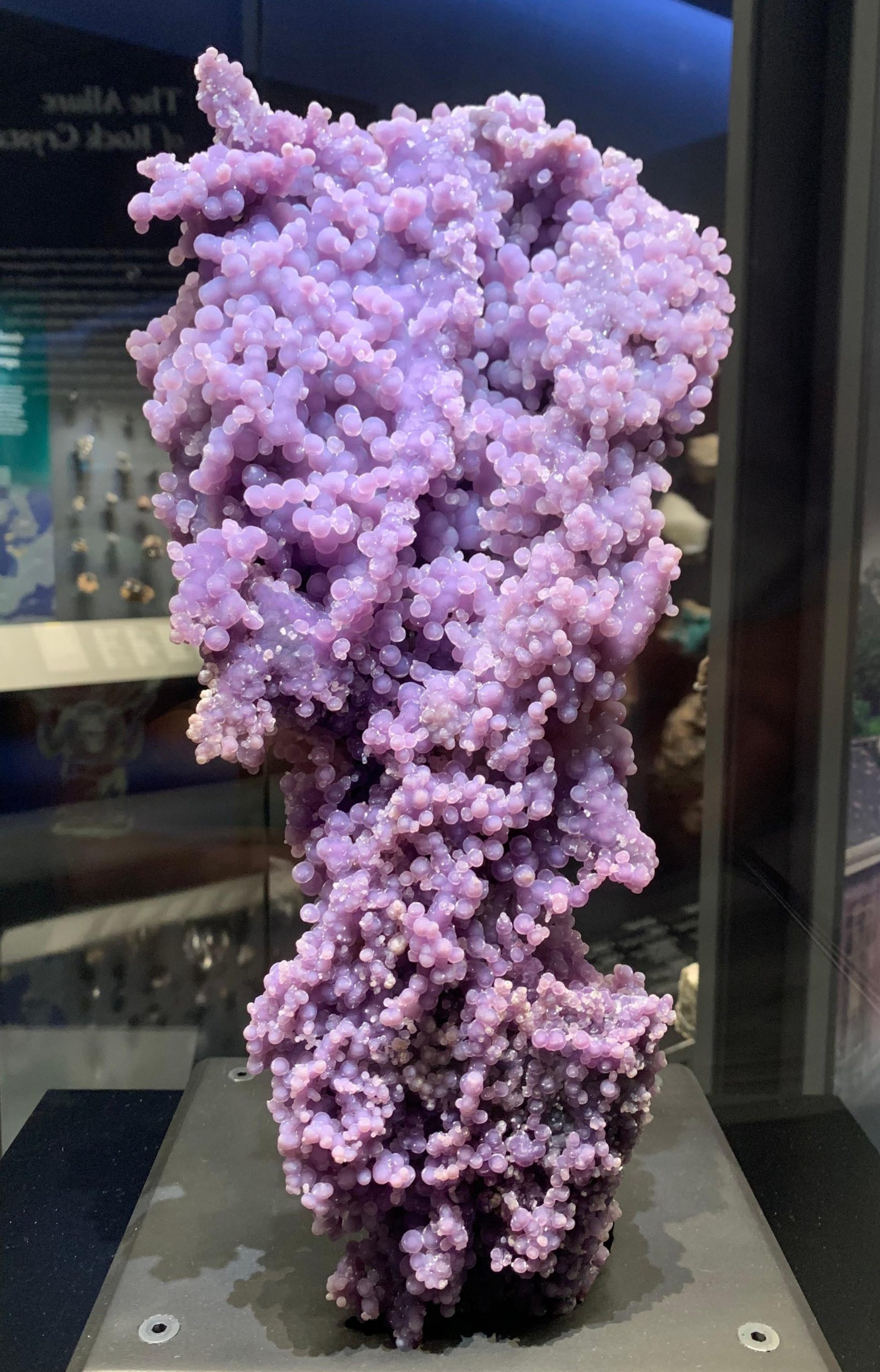 The extraordinary grape agate. (Image: Isaac Schultz)