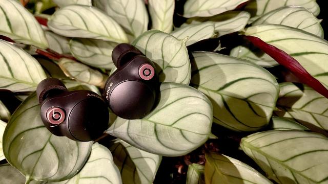 Sony Just Dropped Its New Wireless Noise Cancelling Earbuds