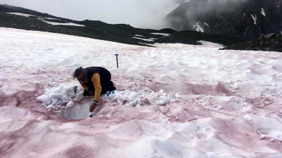 ‘Glacier Blood’ Is the Latest Climate Change Horror