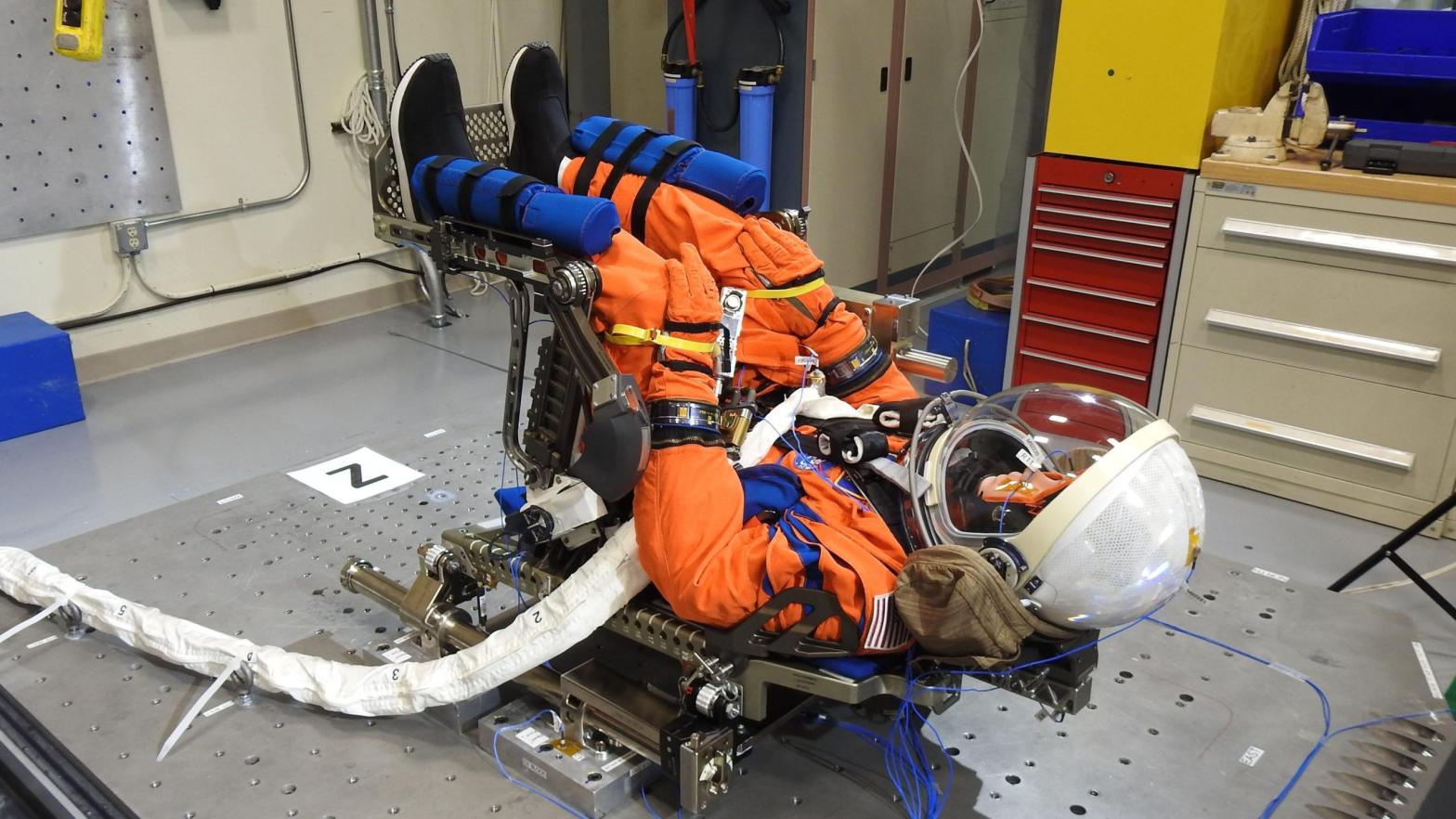 The manikin strapped in its Orion chair and in launch position.  (Image: NASA)