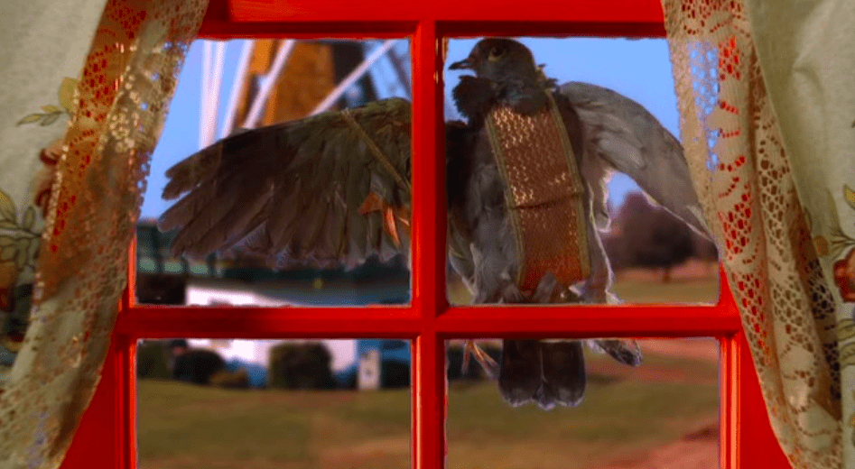 Pidge, the pigeon, smashed into a window. (Screenshot: HBO Max)