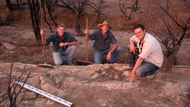 The March Of The Titanosaurs: The Snake Creek Tracksite Unveiled