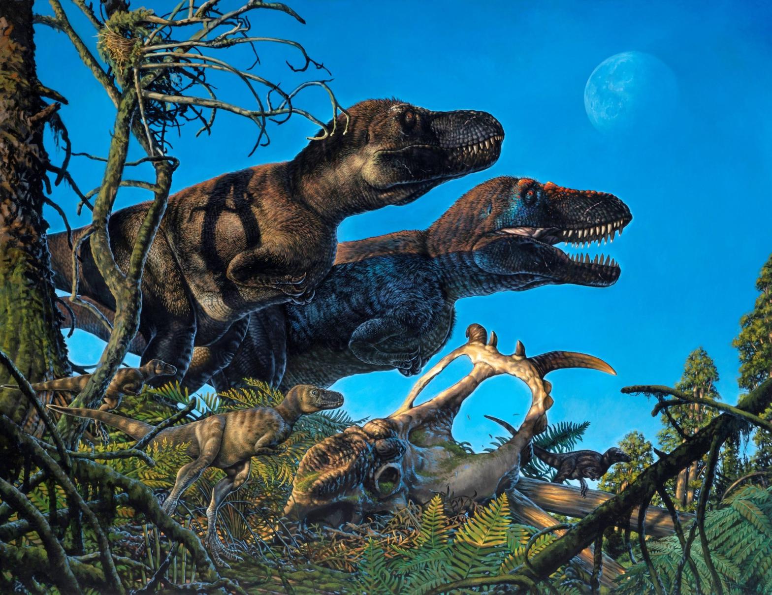 A paleoart depiction of the tyrannosaur Nanuqsaurus with its young. (Illustration: James Havens)