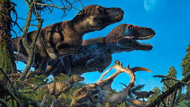 Paleontologists Find Evidence of Dinosaurs Nesting Near the North Pole