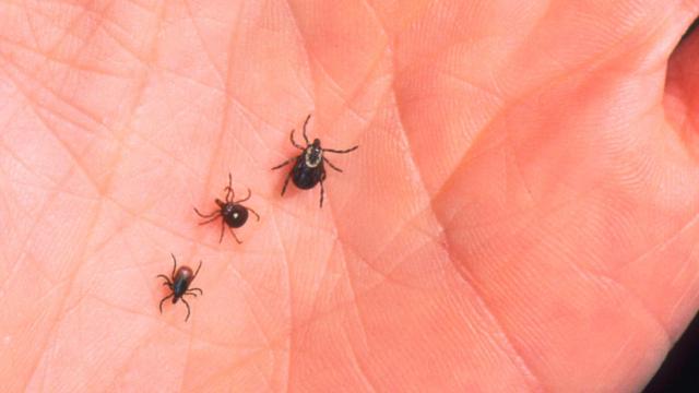 Maps Show North America’s Growing Tick Invasion