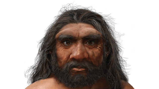 Move Over Neanderthals, Newly Discovered ‘Dragon Man’ Might Be Our True Sister Species