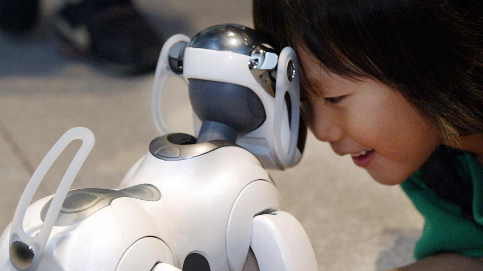 A boy playing with Sony's AIBO ERS-7 during AIBO's 5th anniversary exhibition held in Tokyo, Japan on May 2004.  (Photo: Toshifumi Kitamura/AFP, Getty Images)
