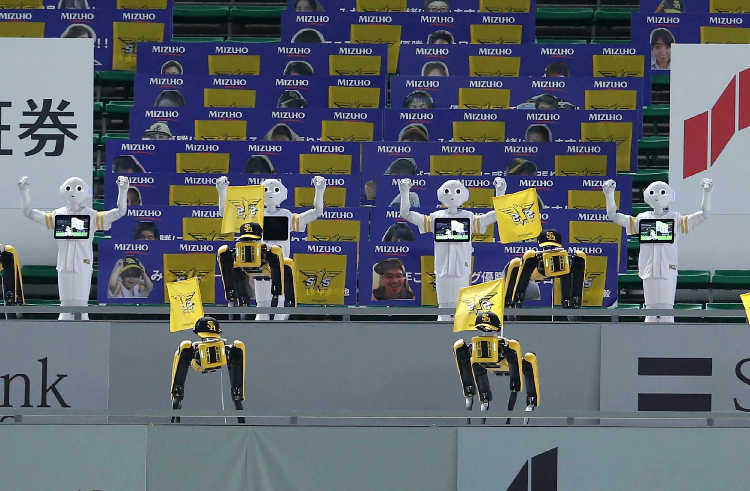 SoftBank Corp's humanoid robots Pepper (white) and Boston Dynamics' robots SPOT (yellow) dance and sing before the Nippon Professional Baseball league match between SoftBank Hawks and Rakuten Golden Eagles in Fukuoka on July 10, 2020. (Photo: STR/JIJI press/AFP, Getty Images)