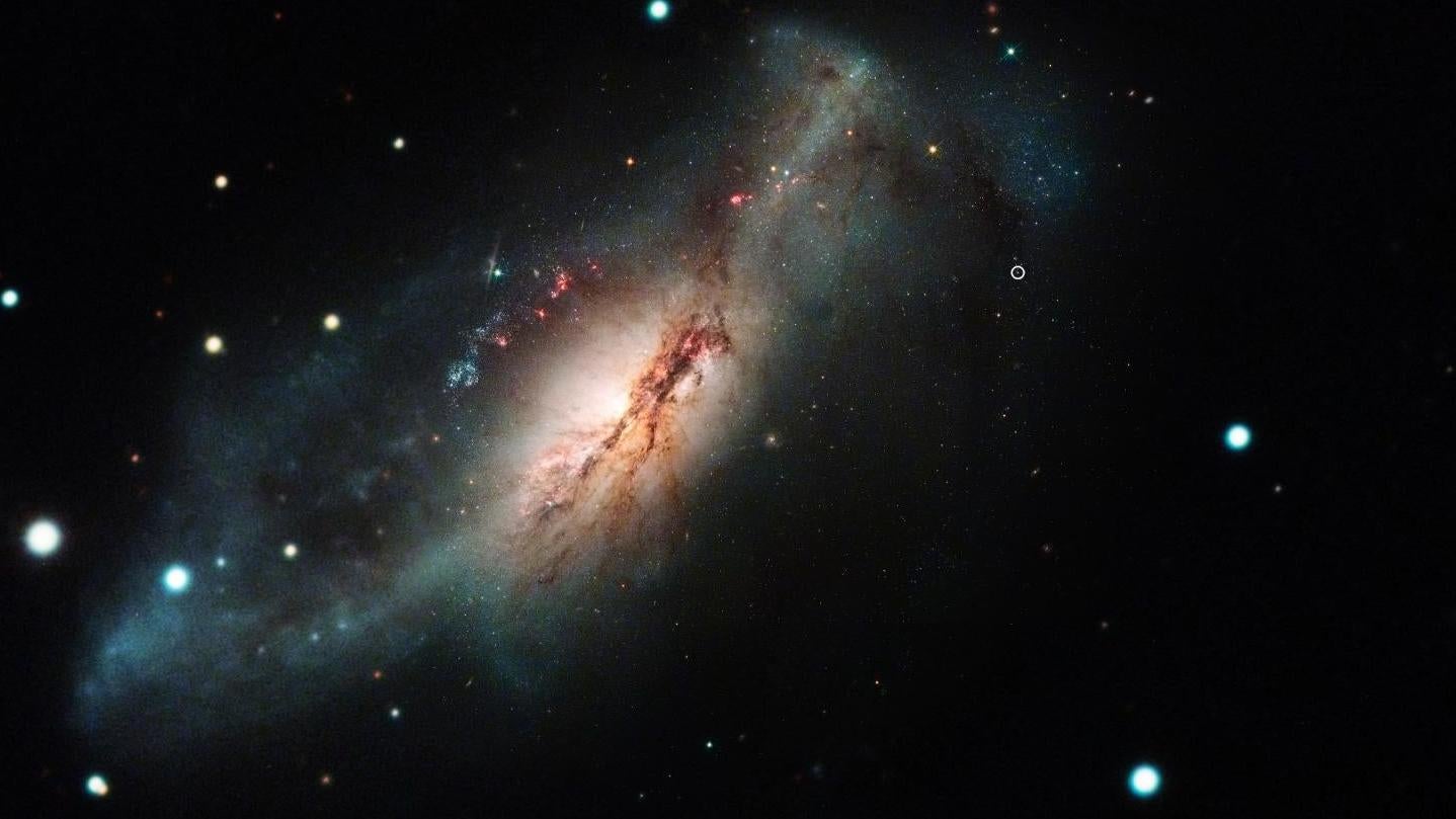 A colour composite image of SN 2018zd, the bright dot at centre right, and host galaxy NGC 2146 at left. (Image: NASA/STScI/J. DePasquale; Las Cumbres Observatory)