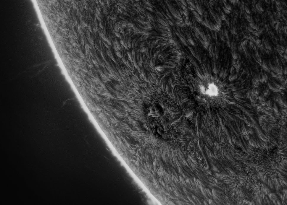 A sunspot on the Sun's chromosphere. (Image: Royal Observatory Greenwich/Siu Fone Tang (USA))